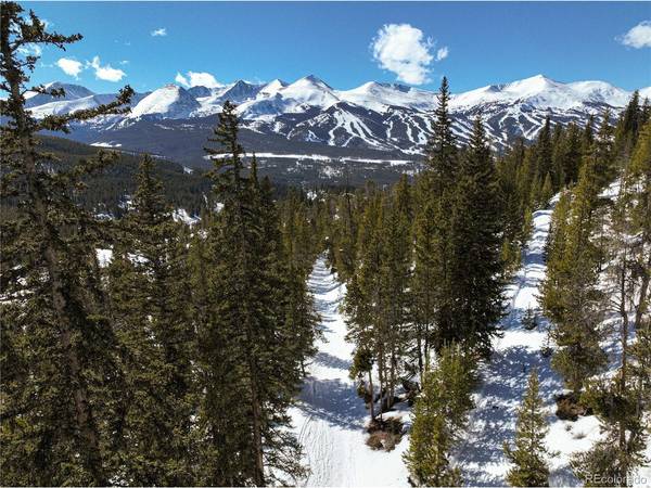 217 Goldenview, Breckenridge, CO 80424