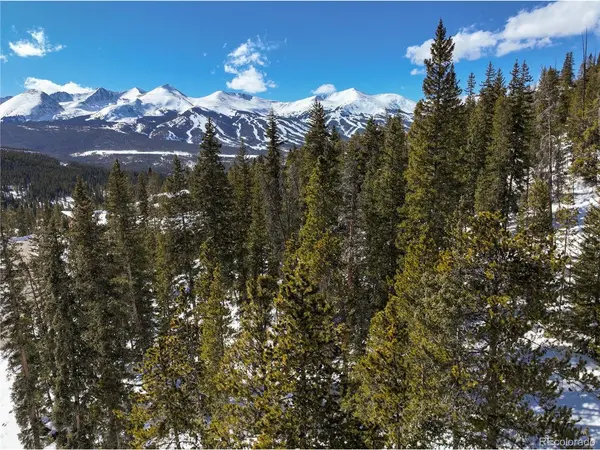 217 Goldenview, Breckenridge, CO 80424
