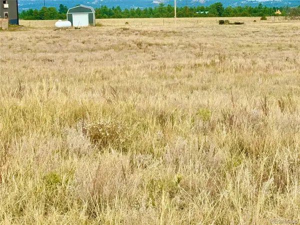 135 Fawn, Westcliffe, CO 81252