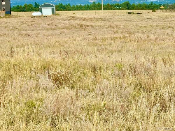135 Fawn, Westcliffe, CO 81252