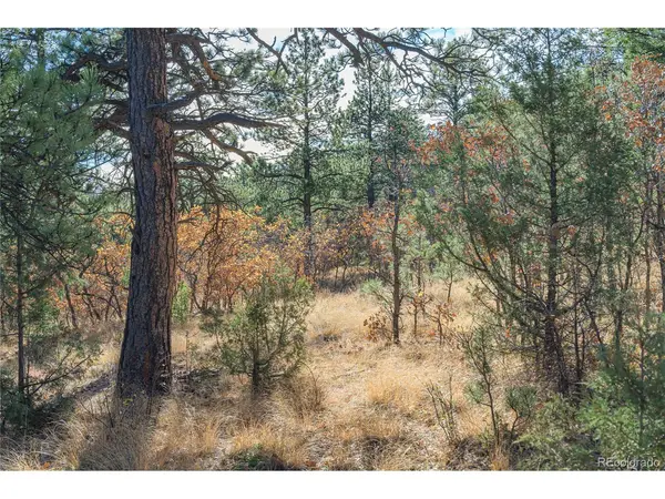 14341 North, Weston, CO 81091