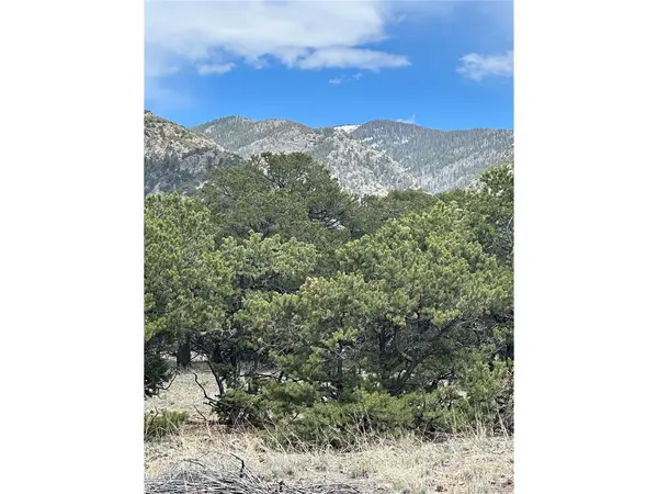 10 Mountain Springs, Mosca, CO 81146
