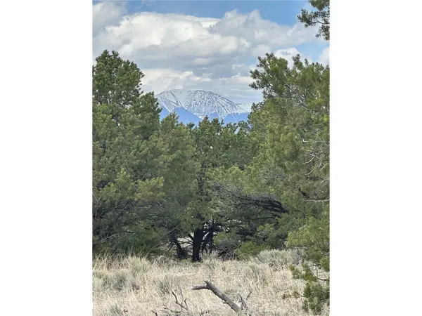 10 Mountain Springs, Mosca, CO 81146