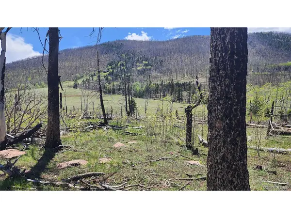 2334 Wohlstetter, Fort Garland, CO 81133