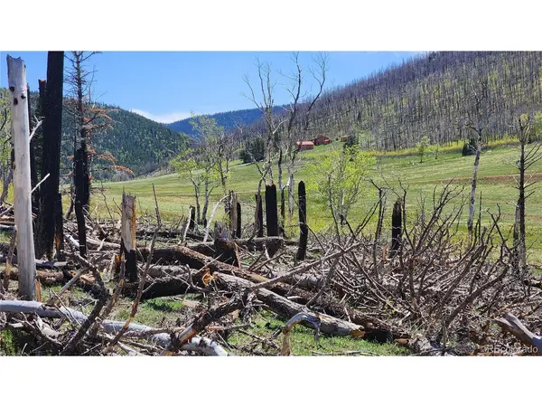 2334 Wohlstetter, Fort Garland, CO 81133