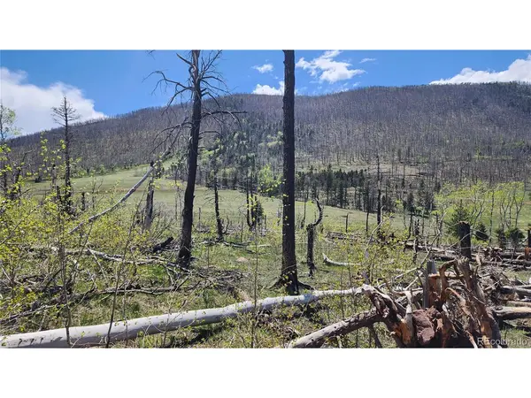 2334 Wohlstetter, Fort Garland, CO 81133