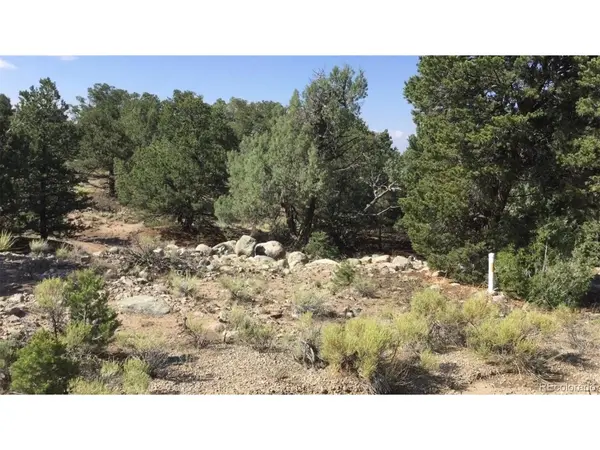 3514 Forest Trail Overlook, Crestone, CO 81131