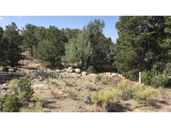 3514 Forest Trail Overlook, Crestone, CO 81131