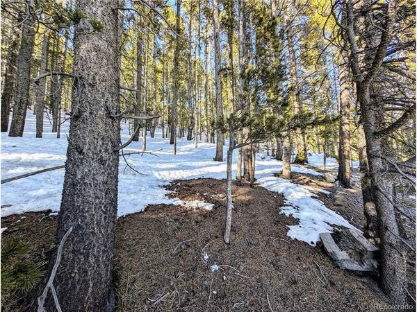 677 Alice, Idaho Springs, CO 80453
