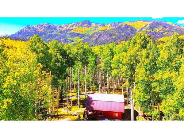613 Alamosa, Jasper, CO 81140