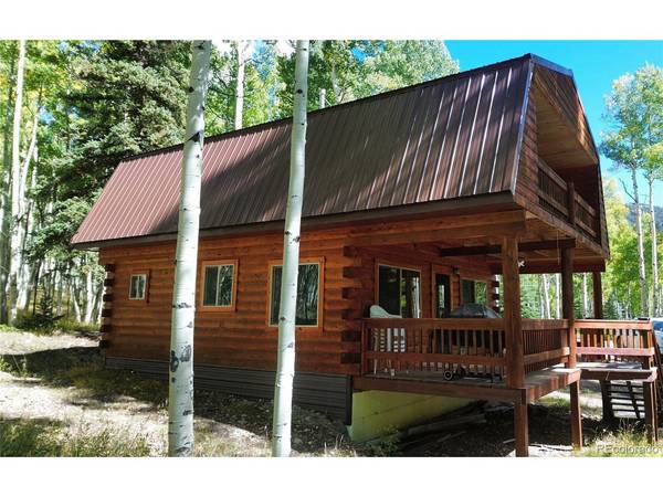 613 Alamosa, Jasper, CO 81140