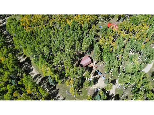 613 Alamosa, Jasper, CO 81140