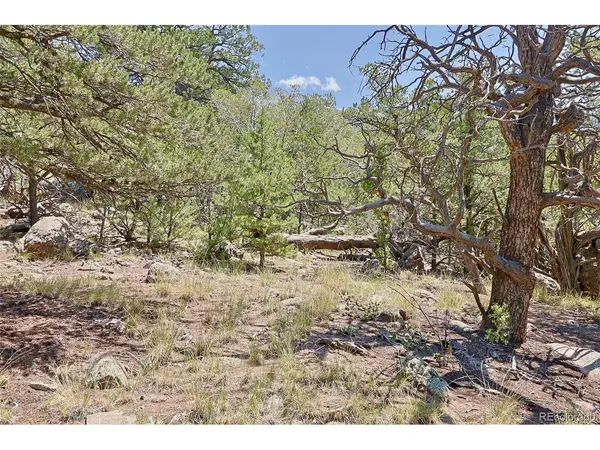 453 Arrowhead, Crestone, CO 81131