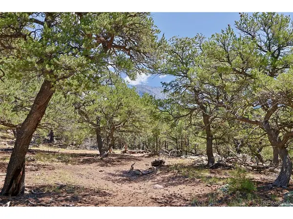 453 Arrowhead, Crestone, CO 81131