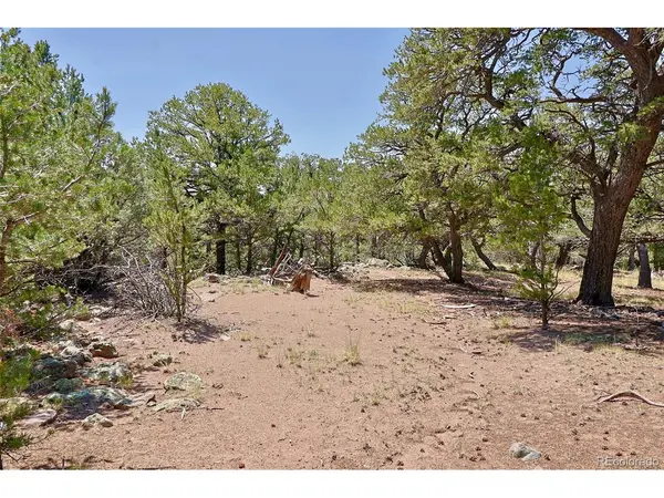 453 Arrowhead, Crestone, CO 81131