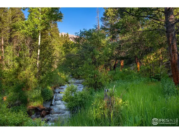 1217 Big Owl, Allenspark, CO 80510