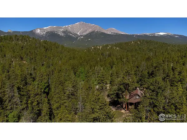 1217 Big Owl, Allenspark, CO 80510