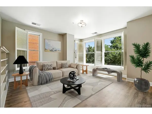 1631 N Emerson #207, Denver, CO 80218