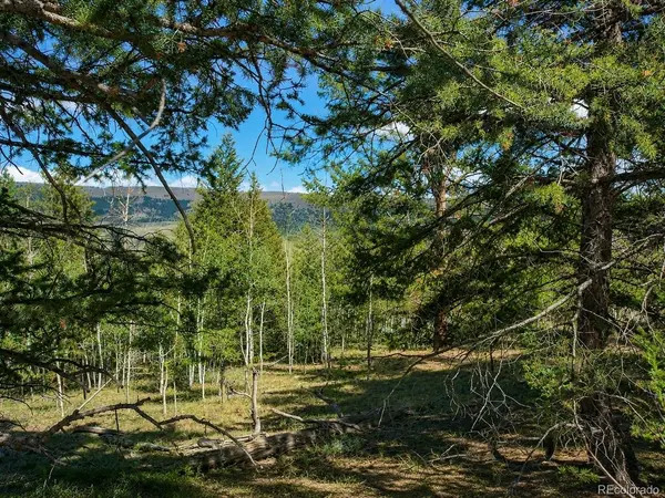 2381 Redhill, Fairplay, CO 80440