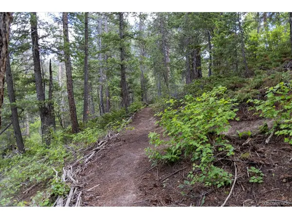 31429 Burke, Golden, CO 80403