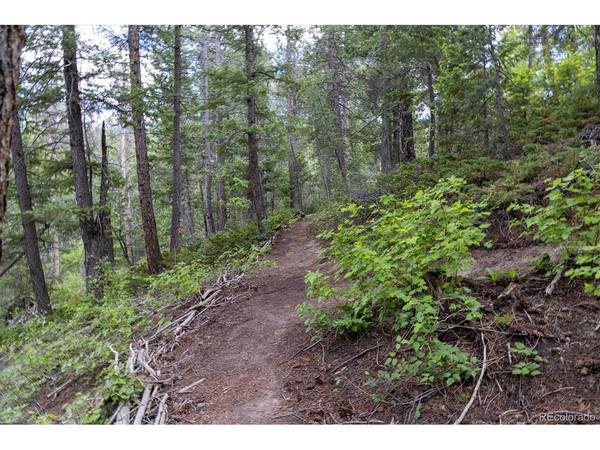 31429 Burke, Golden, CO 80403