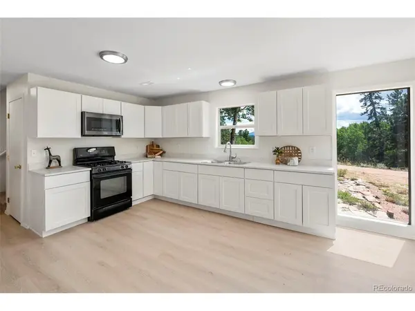 4710 Wildhorn, Florissant, CO 80816