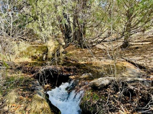15 Lake Of The Falls, Mosca, CO 81146