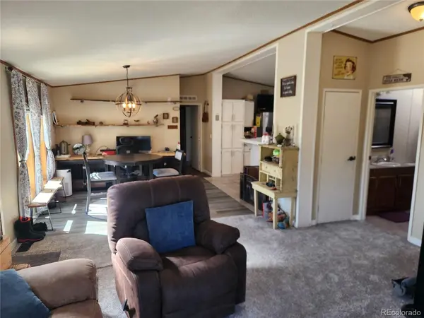 2628 Southpark, Florissant, CO 80816