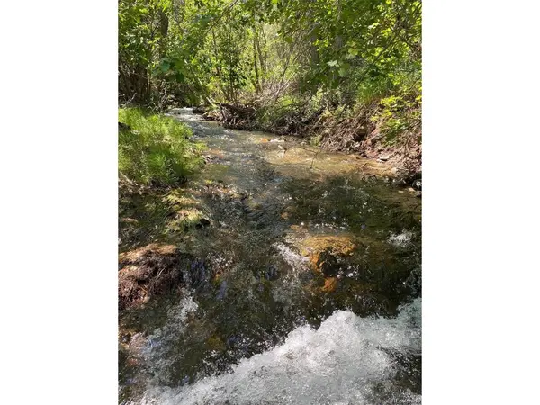 779 County Road 48, Howard, CO 81233
