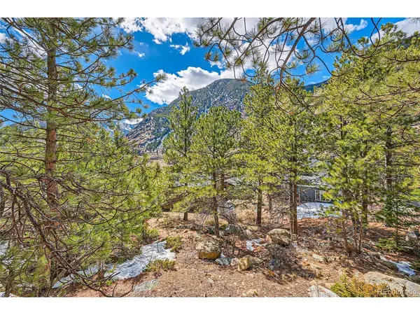 Skyline, Georgetown, CO 80444