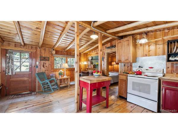 33885 La Plata, Pine, CO 80470