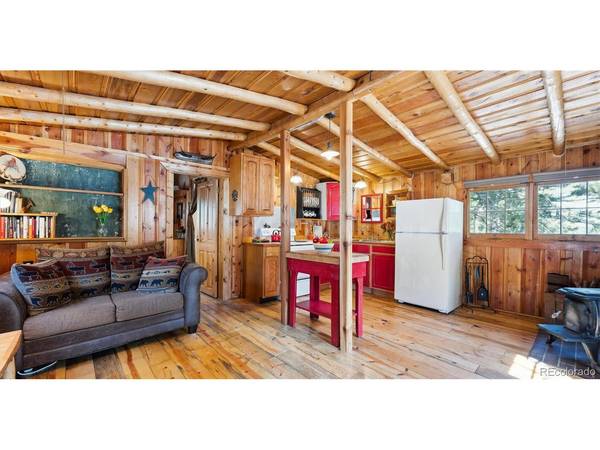 33885 La Plata, Pine, CO 80470