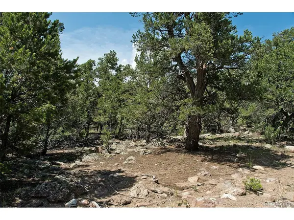 532 N Hillcrest Ol, Crestone, CO 81131