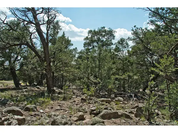 532 N Hillcrest Ol, Crestone, CO 81131