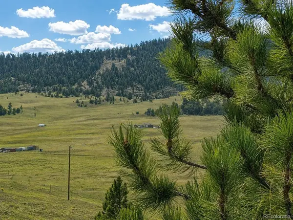 115 Black Canyon, Hartsel, CO 80449