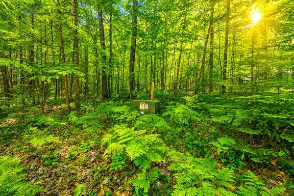 STEFFEN LN #13, Pembine, WI 54156
