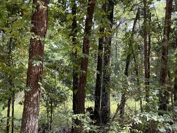 000 County Road F-147, Alton, MO 65606