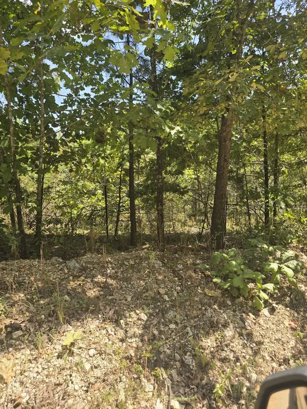 000 Sackett RD #1, Licking, MO 65542
