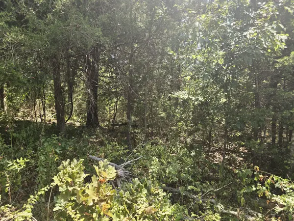 000 Sackett RD #1, Licking, MO 65542
