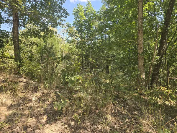 000 Sackett RD #1, Licking, MO 65542
