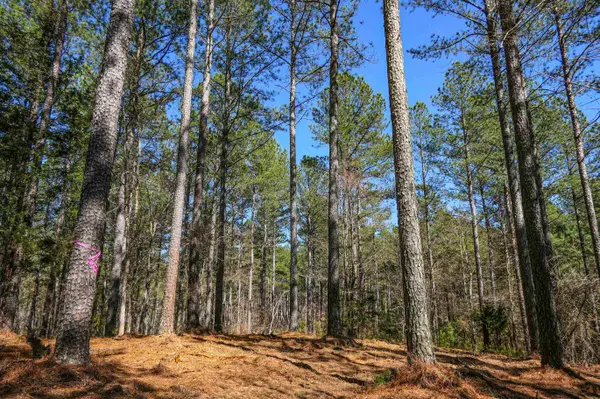 0 Asbury Road RD, Pacolet, SC 29372