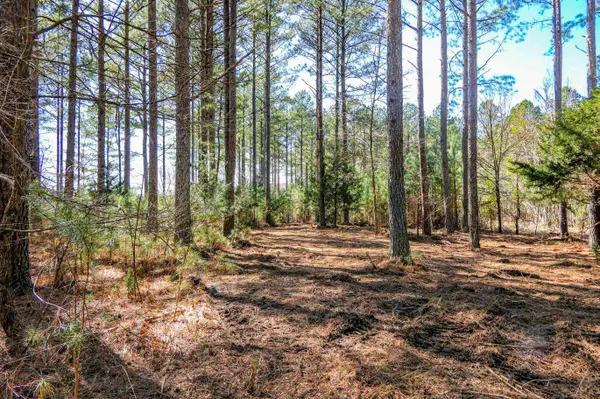0 Asbury Road RD, Pacolet, SC 29372