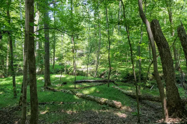 0 Asbury Road RD, Pacolet, SC 29372