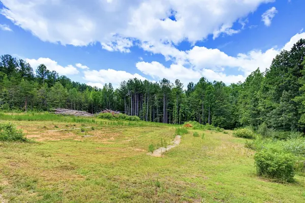 1217 Pleasant Hill RD, Landrum, SC 29356-9599