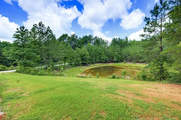1217 Pleasant Hill RD, Landrum, SC 29356-9599