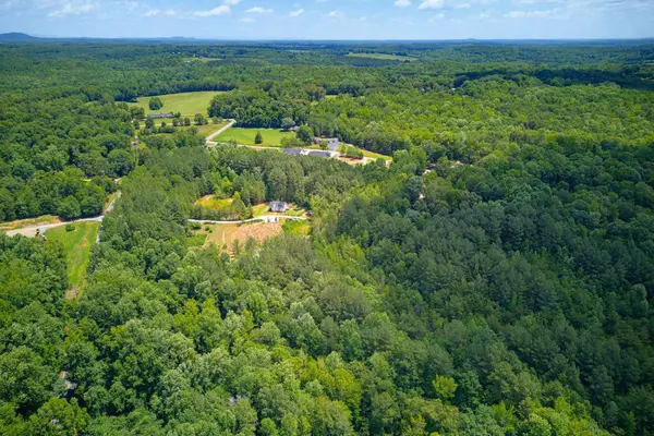 1217 Pleasant Hill RD, Landrum, SC 29356-9599
