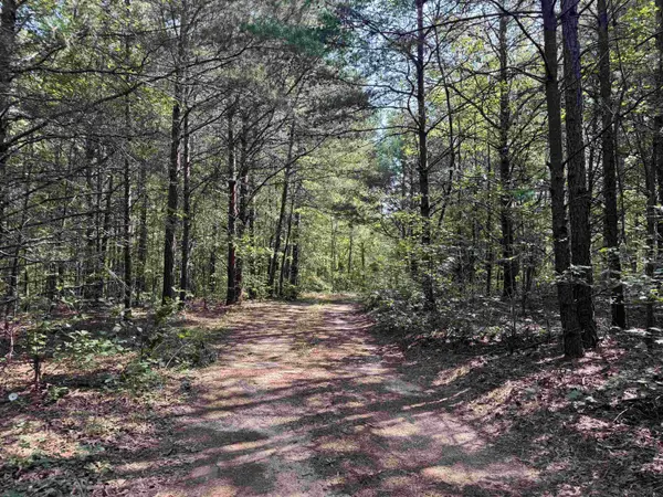 320 Oak Grove RD, Landrum, SC 29356