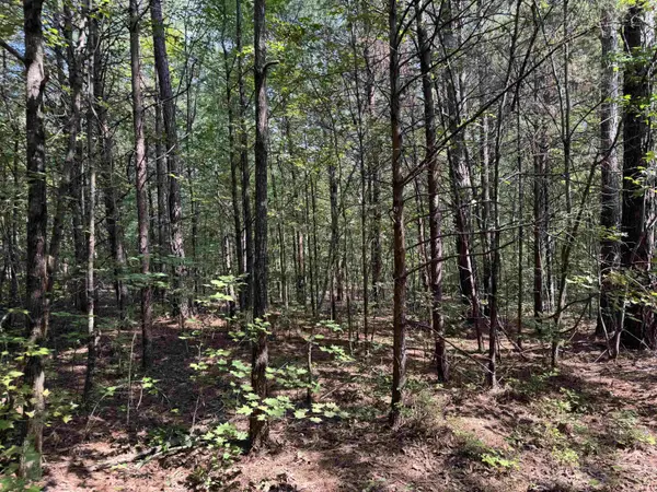 320 Oak Grove RD, Landrum, SC 29356