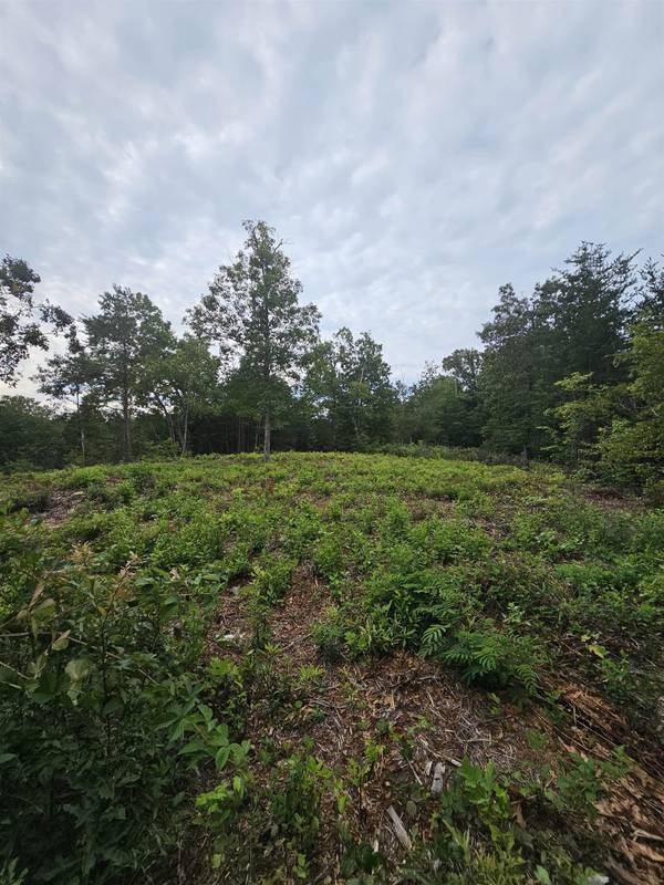 1138 Belue Mill RD, Landrum, SC 29356