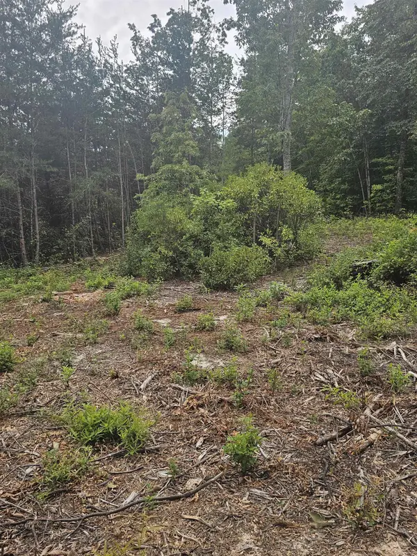 1138 Belue Mill RD, Landrum, SC 29356